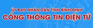 CỔNG THÔNG TIN ĐIỆN TỬ TỈNH BÌNH ĐỊNH